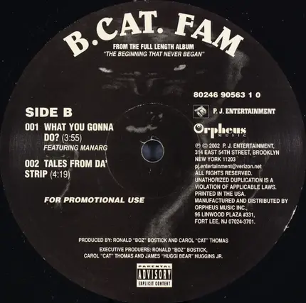 B.Cat.Fam - Freak It