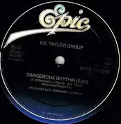 12inch Vinyl Single - B.E. Taylor Group - Reggae Rock N Roll