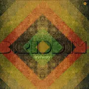 12inch Vinyl Single - B.Riddim - In Theory - Still Sealed