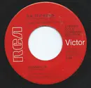 7inch Vinyl Single - B.W. Stevenson - Shambala