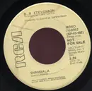 7inch Vinyl Single - B.W. Stevenson - Shambala