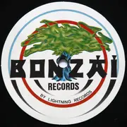 12inch Vinyl Single - B.W.P. Experiments - Strictly Underground E.P. - EP