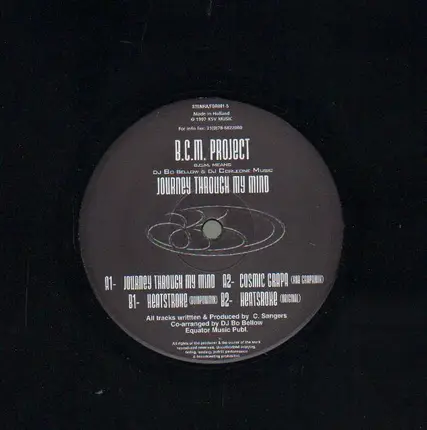 BCM Project - Journey Through My Mind