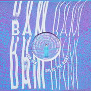 12inch Vinyl Single - Bam Bam - Spend The Night