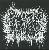 Bambounou - Parametr Perkusja Ep