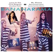 Bananarama - Love In The First Degree