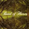 LP - Band Of Horses - Everything All The Time - +insert