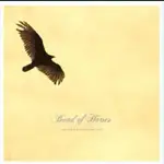 Band of Horses - NO ONE'S GOING TO LOVE YOU