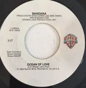 7inch Vinyl Single - Bandana - Outside Lookin' In