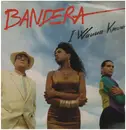 12inch Vinyl Single - Bandera - I Wanna Know