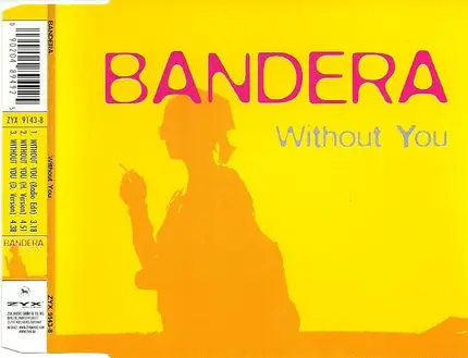 Bandera - Without You