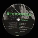 12inch Vinyl Single - Bangbros - Stampfen