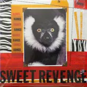 The Bangs - Sweet Revenge
