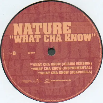 Babu Feat. The Beatnuts & Al' Tariq / Nature - Duck Season / What Cha Know