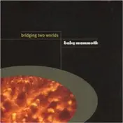 Baby Mammoth - Bridging Two Worlds