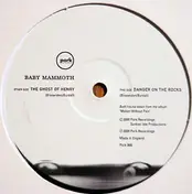 Baby Mammoth - The Ghost Of Henry / Danger On The Rocks