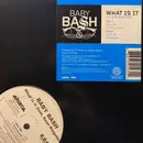 12inch Vinyl Single - Baby Bash Featuring Sean Kingston - What Is It