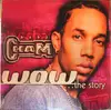 Double LP - Baby Cham - Wow...The Story