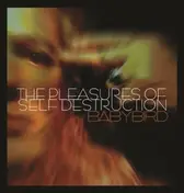 Babybird - The Pleasures of Self Destruction