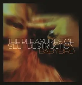 Babybird - The Pleasures of Self Destruction