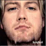 Babybird - Between My Ears There's Nothing But Music