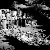 Babe Roots - Tribal War / Sweet