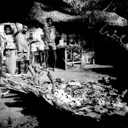Babe Roots - Tribal War / Sweet