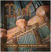 Bach / Michael Schneider - Johann Sebastian Bach - An Der Orgel Der Lüneburger St. Johannis-Kirche Prof. Dr. Michael Schneider