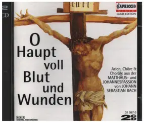 J. S. Bach - O Haupt Voll Blut Und Wunden