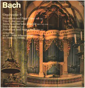 J. S. Bach - Bachs Orgelwerke Auf Silbermannorgeln  9