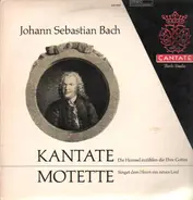 Bach - Kantate & Motette