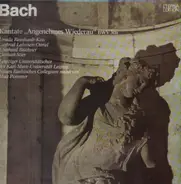 Bach - Kantate 'Angenehmes Wiederau' BWV 30a