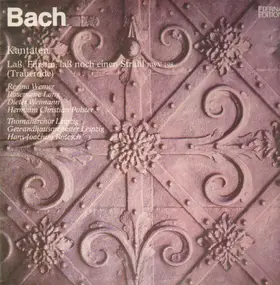 J. S. Bach - Kantaten - Laß, Fürstin, laß noch einen Strahl BWV 198 (Trauerode)