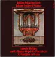 Bach / Walther - Annerös Hulliger an der Hauser-Orgel der Pfarrkirche St. Remigius zu Mettau