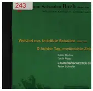 Bach - Weltliche Kantaten: Schwingt Freudig Euch Empor / Non Sa Che Sia Dolore / Amore Traditore