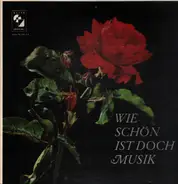 Chopin, Debussy, Brahms, Liszt a.o. - Wie Schön Ist Doch Musik