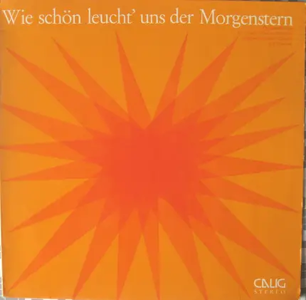 Bachchor Der St.Johanniskirche Würzburg - Wie Schön Leucht' Uns Der Morgenstern (Weihnachtliche Choräle Und Motetten)