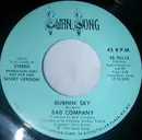 7inch Vinyl Single - Bad Company - Burnin' Sky