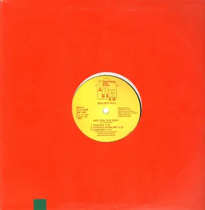 Bad Boy Bill - Are You The One?