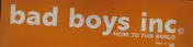 Bad Boys Inc. - More To This World