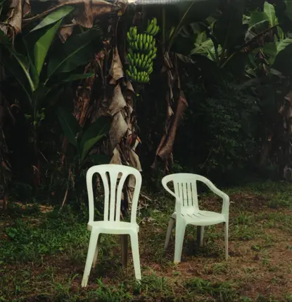 Bad Bunny - Debi Tirar Mas Fotos