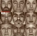 CD - Bad Religion - The Gray Race