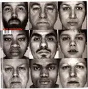 LP - Bad Religion - The Gray Race