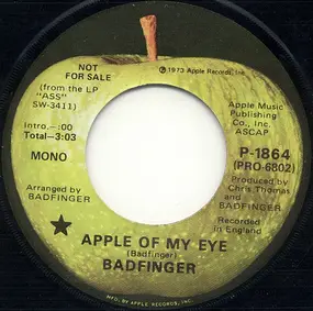 Badfinger - Apple Of My Eye