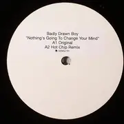 12inch Vinyl Single - Badly Drawn Boy - Nothing's Going To Change Your Mind - Promo Copy