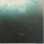 10'' - Badly Drawn Boy - It Came From The Ground - Die Cut Back Cover