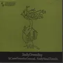 10'' - Badly Drawn Boy - It Came From The Ground