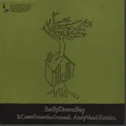 10'' - Badly Drawn Boy - It Came From The Ground