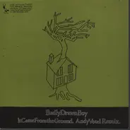Badly Drawn Boy - It Came From The Ground