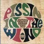 Badly Drawn Boy - Pissin In The Wind